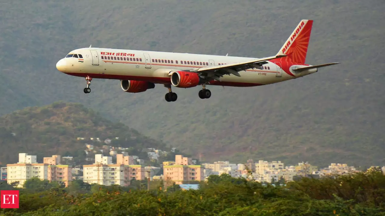 How is the Air India flight from new Delhi to New York?